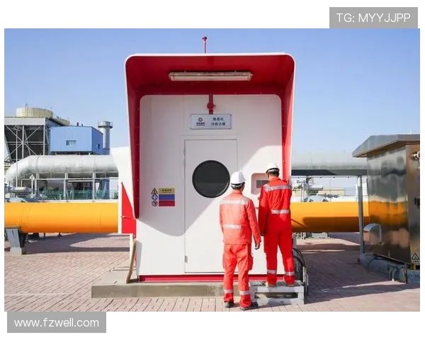 专业分析:液化天然气在区域市场的防守策略与应对措施 专业分析:液化天然气在区域市场的防守策略与应对措施