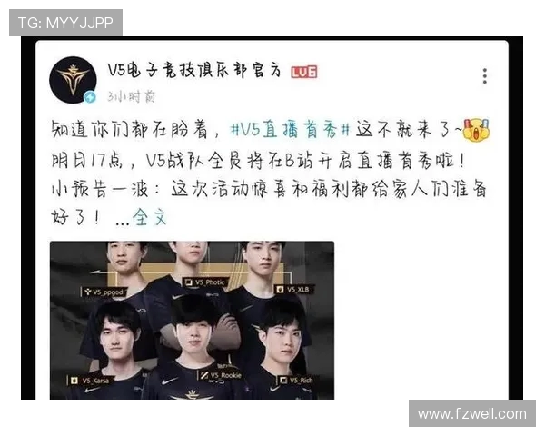 英雄联盟深度解析：V5战队心理素质背后的秘密与成长之路