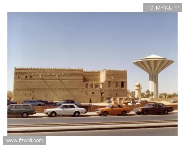 沙特与埃及经济文化发展对比分析及其影响因素探讨