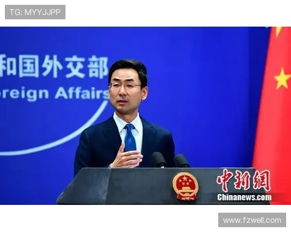 赖斯的外交智慧与全球影响力分析:从历史到未来的深度解读