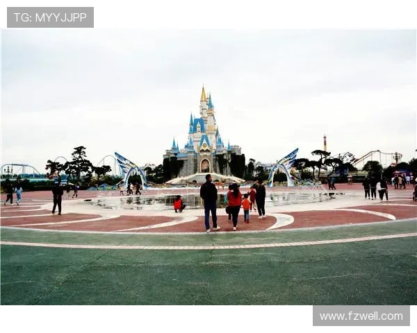 重庆飞盘队战术表现分析与数据解读探索之旅