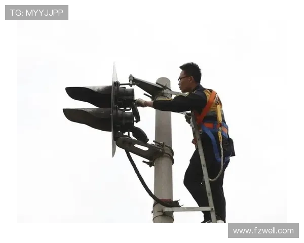 广州攀岩队技术表现数据分析与提升策略探讨