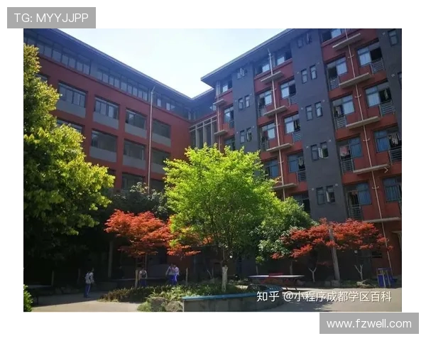 西安篮球队心理素质提升之路：从训练到比赛的全方位解析