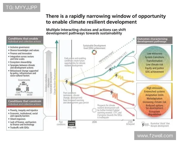 上海篮球队实力分析与未来发展趋势的深度探讨 上海篮球队实力分析与未来发展趋势的深度探讨