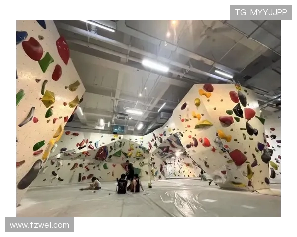 成都攀岩队的控制策略与攀岩热点的深度解析